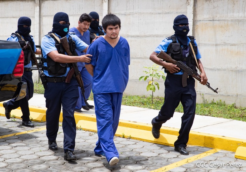 banda-los-topos