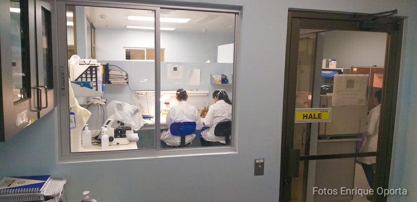 laboratorio-virologia-tuberculosis-minsa