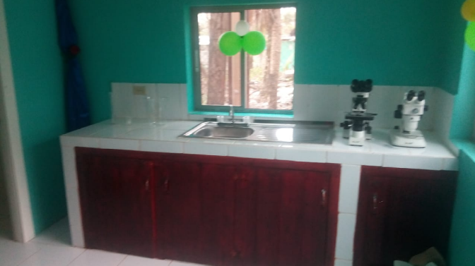 bilwi-hospital-entomologia