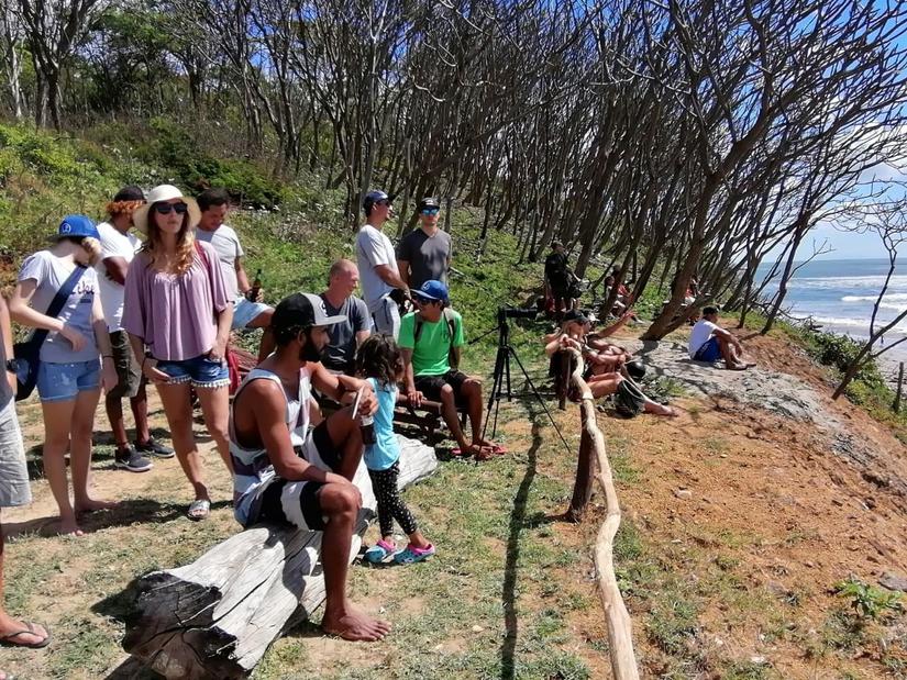 surf-tola-rivas