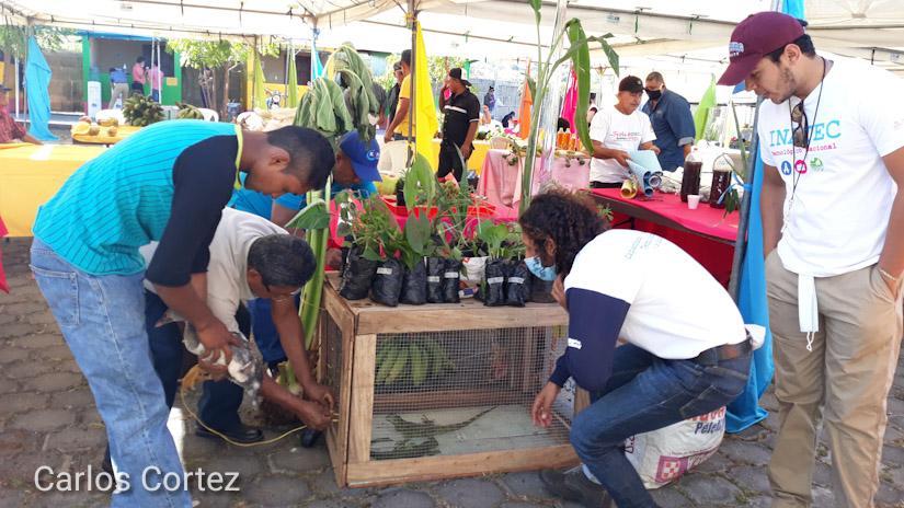 matagalpa-feria