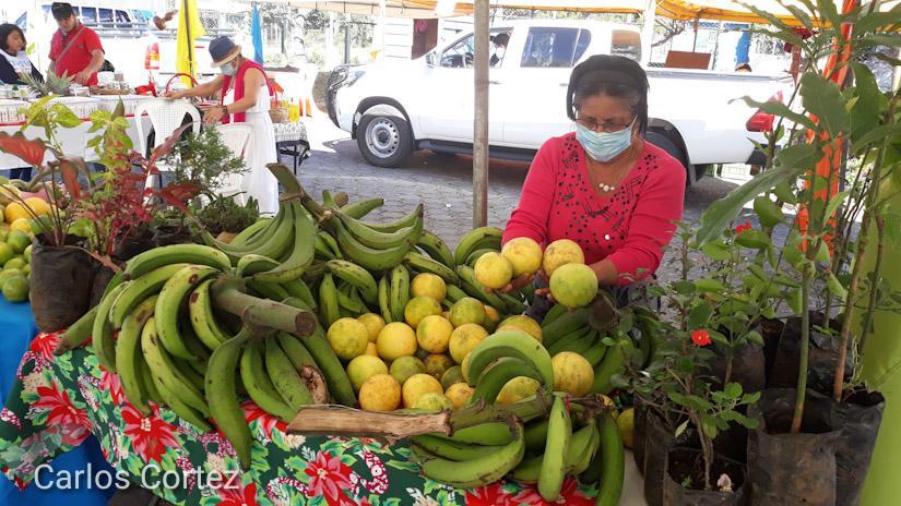 matagalpa-feria