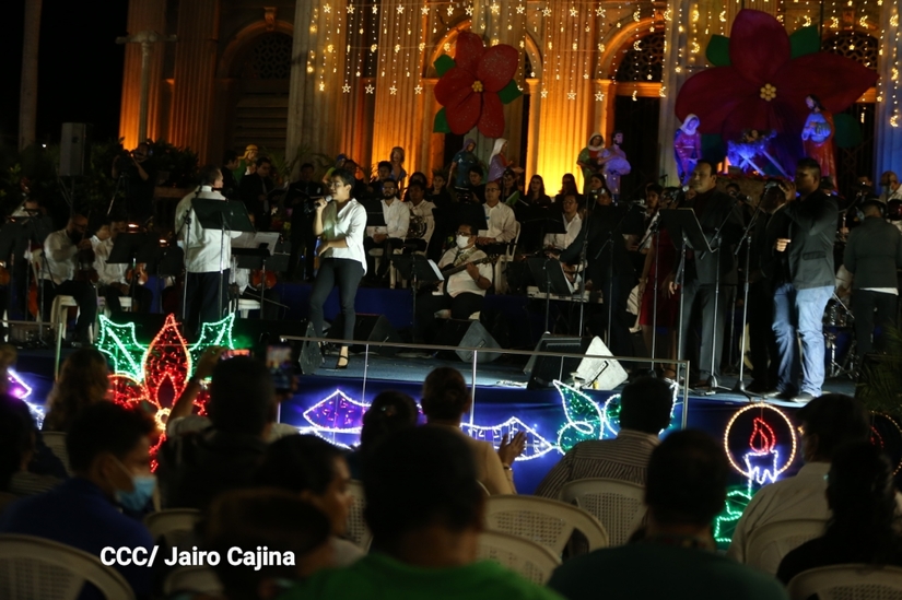 concierto-instrumento-paz
