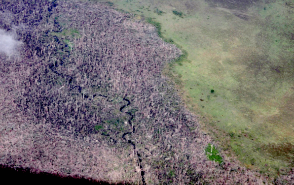 inafor-sobrevuelo-bosques