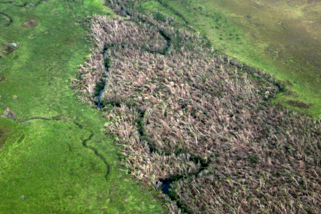 inafor-sobrevuelo-bosques