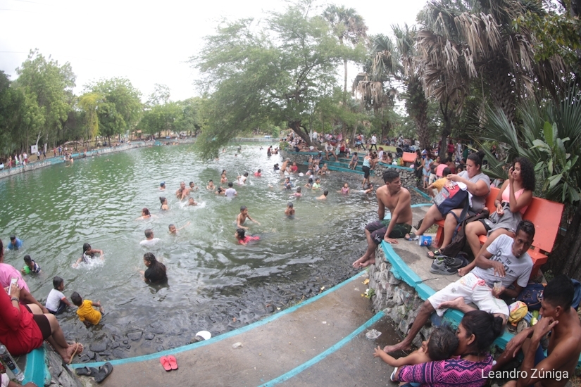trapiche