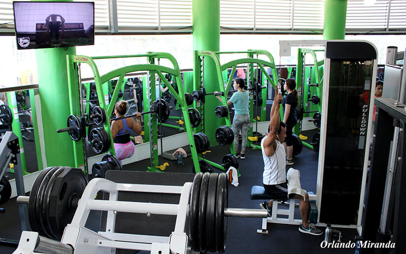 GYM