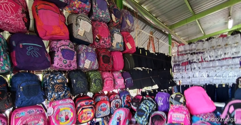 feria-escolar
