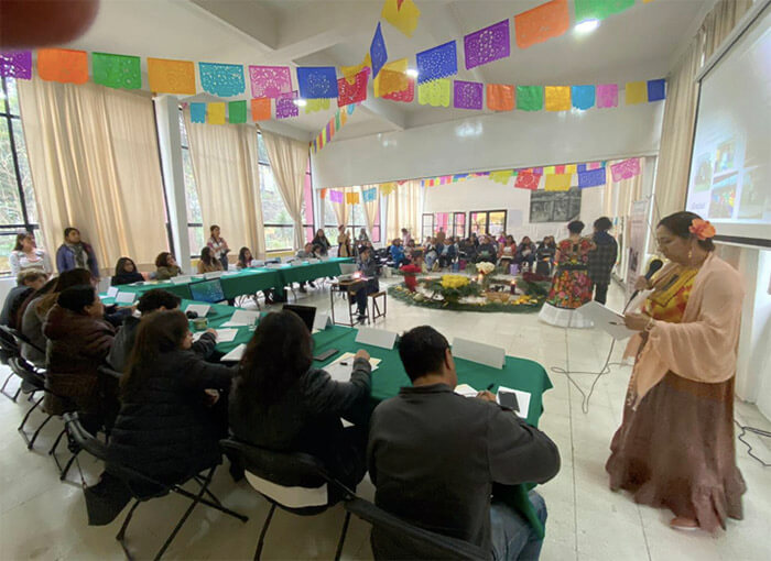 diplomado-liderazgo-mujeres-indigenas-afrodescendientes