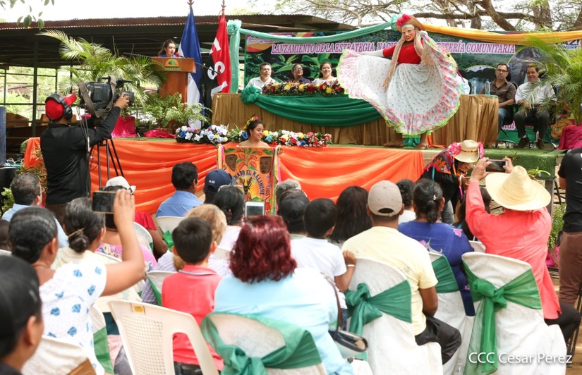 estrategia-bosques