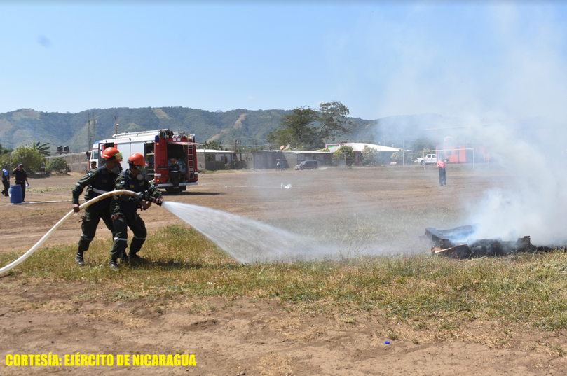 forestal
