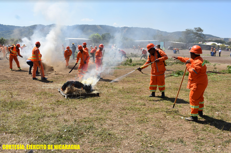 forestal