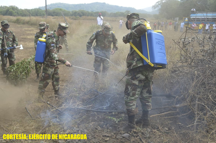 plan-incendios-forestales-ejercito