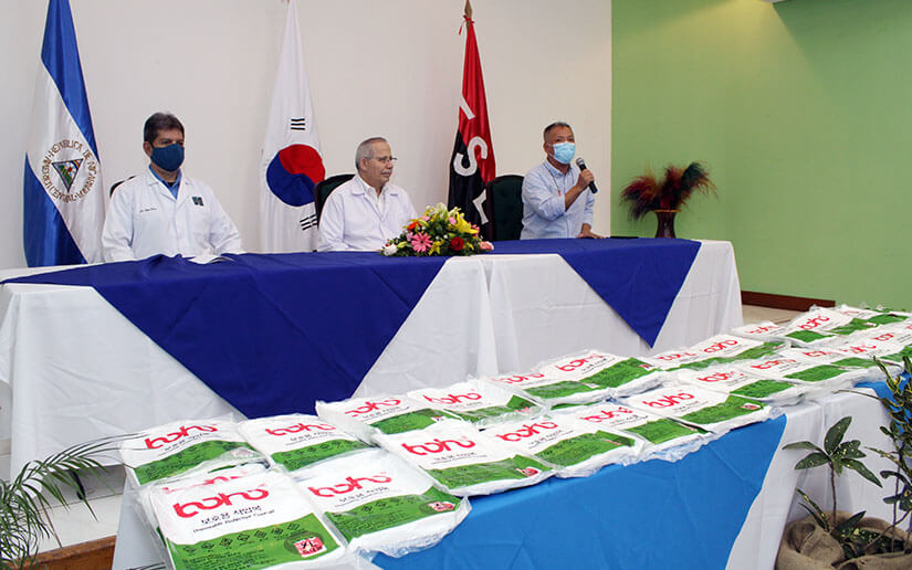 donacion-corea-sur