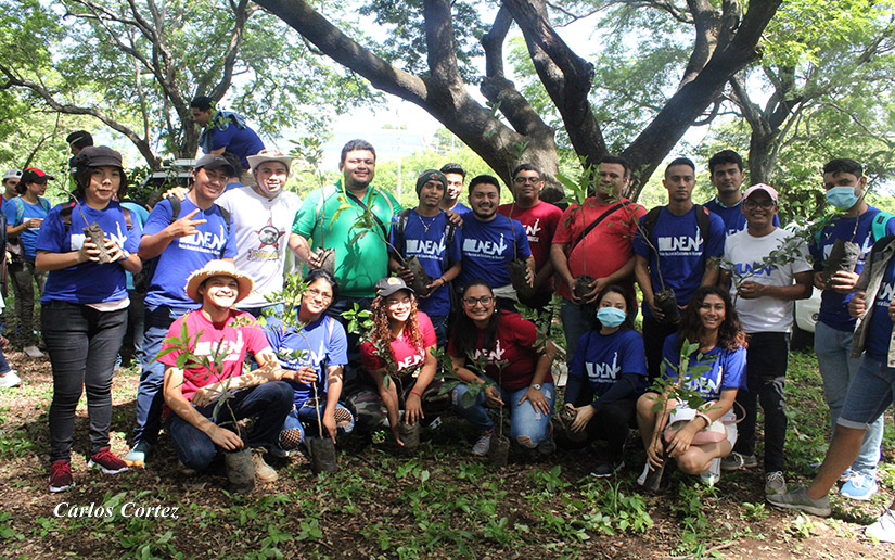 unan-reforestcion