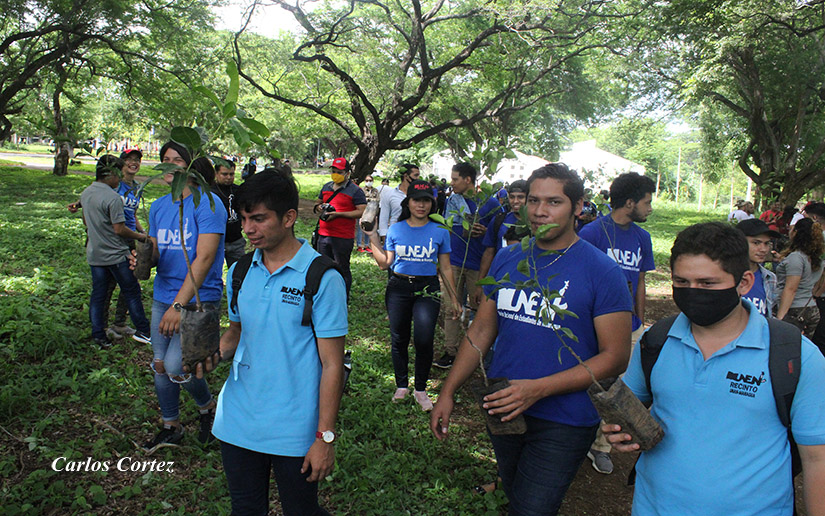 unan-reforestcion