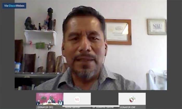 taller-zancudos-descortezadores
