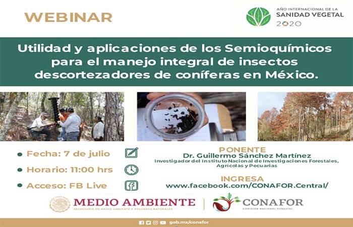 taller-zancudos-descortezadores
