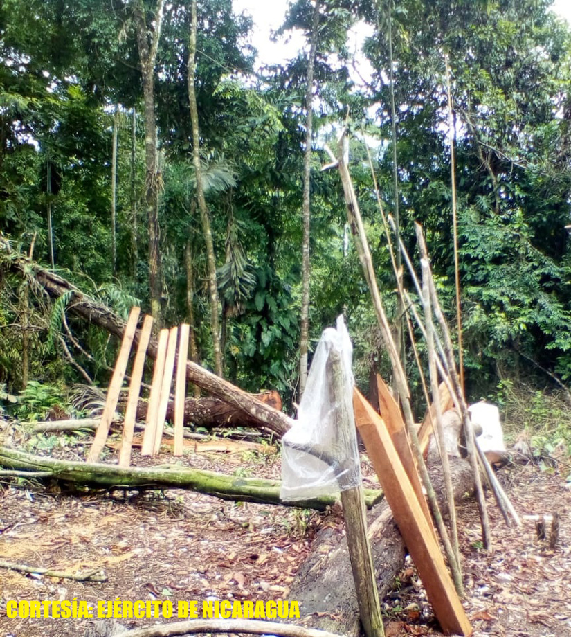 madera