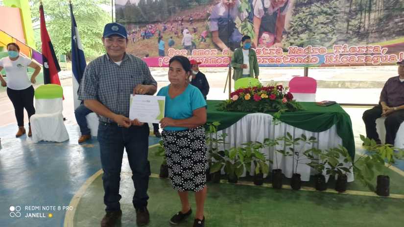 reforestacion-san-dionisio
