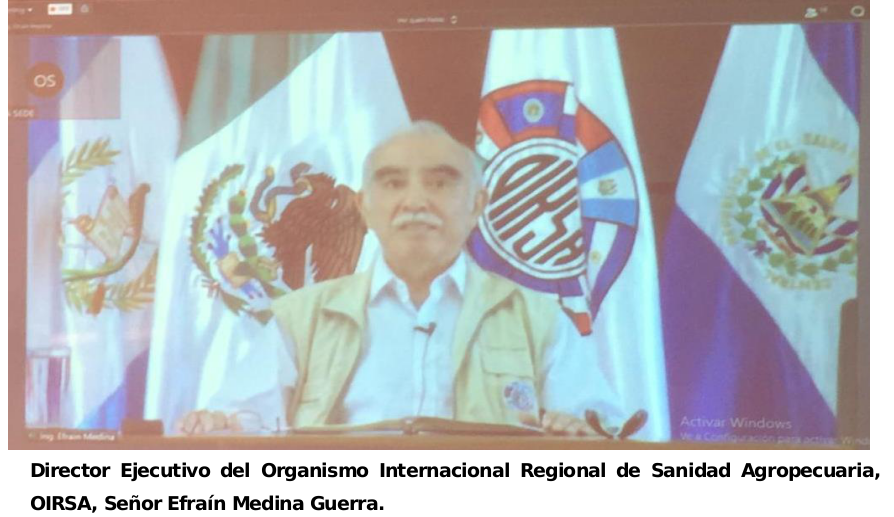 ipsa