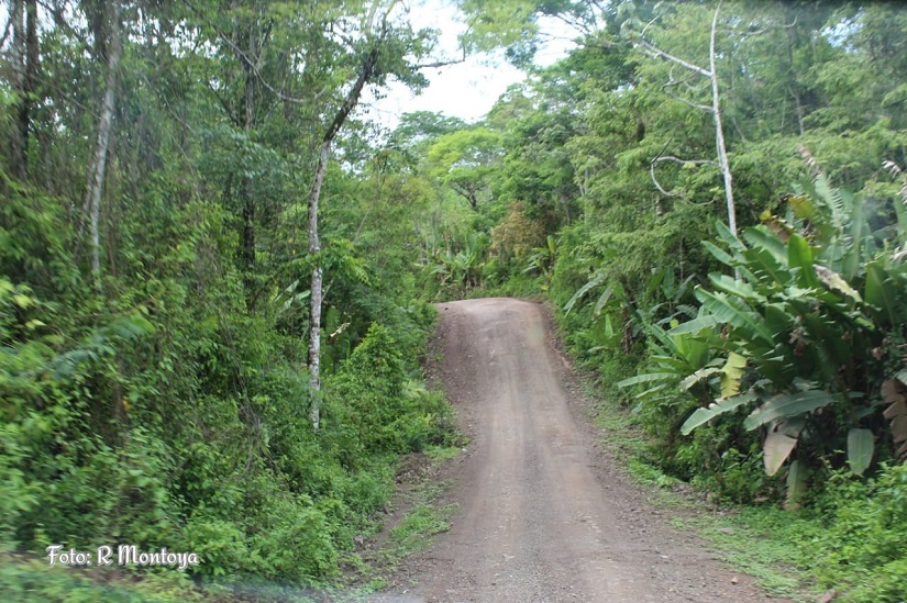 SIUNA2