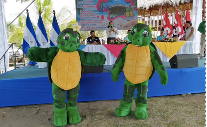 campana-tortuga-marina-nicaragua
