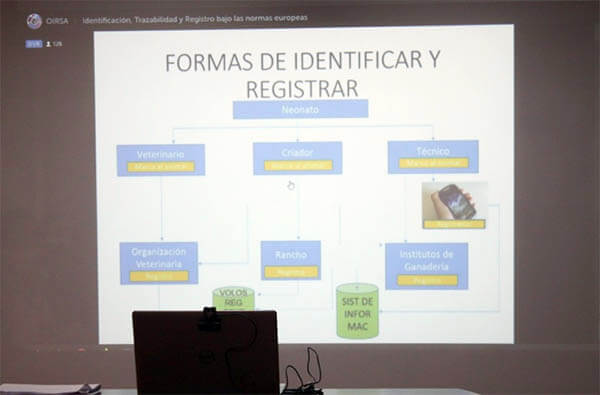 ipsa-conferencia-virtual-exportacion-carne