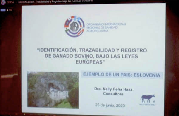 ipsa-conferencia-virtual-exportacion-carne
