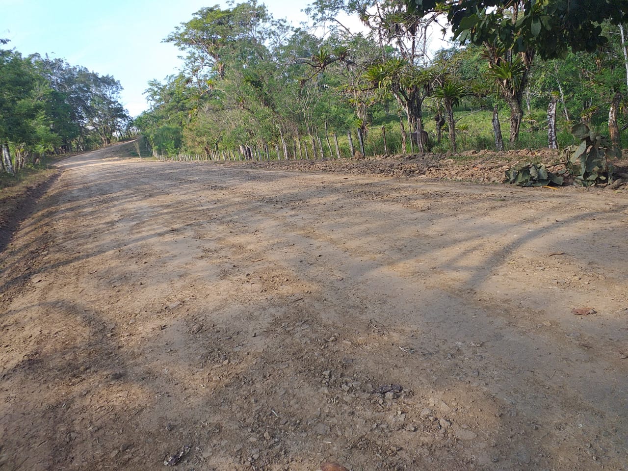 caminos