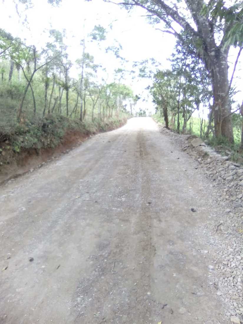 caminos