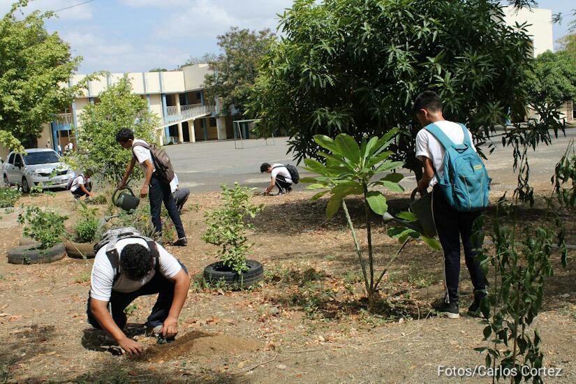 jornada-reforestacion