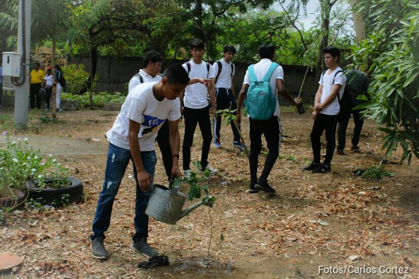 jornada-reforestacion