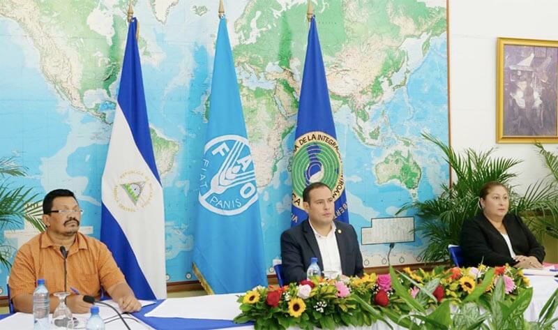 nicaragua-en-conferencia-sobre-alimentacion-escolar-covid-19