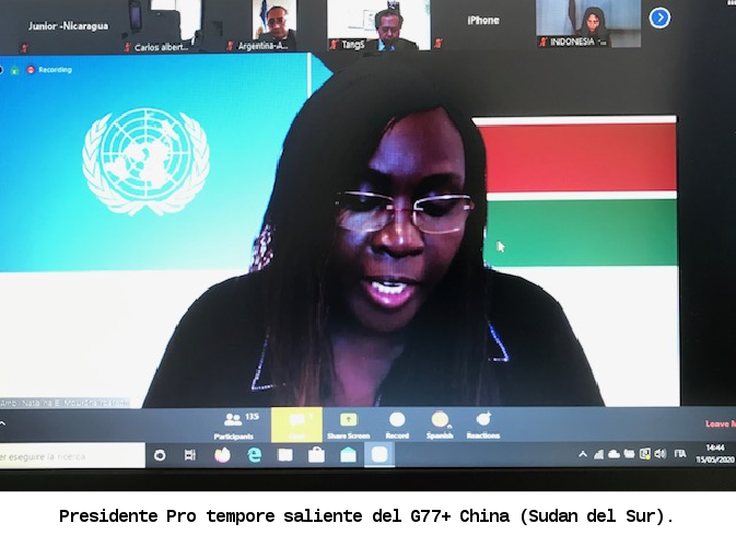 plenaria-g77