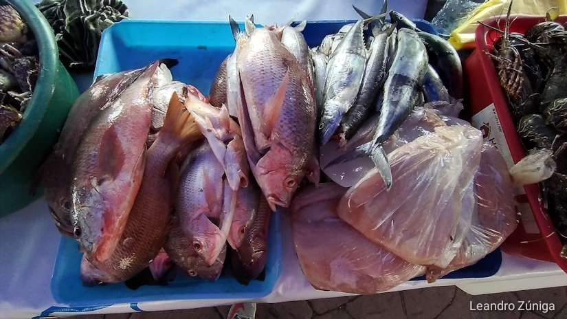 feria-mar