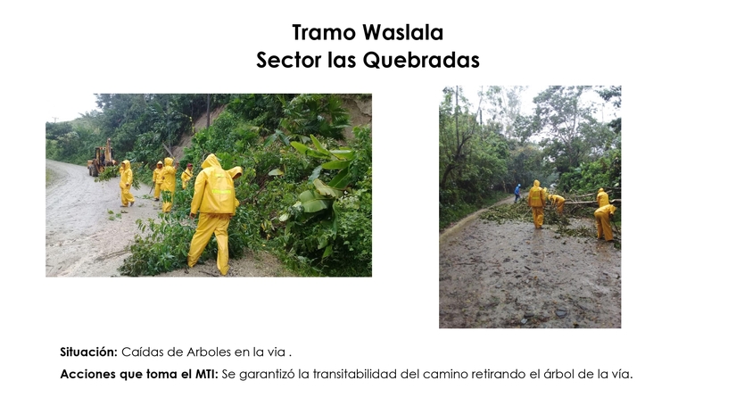 mti-informe