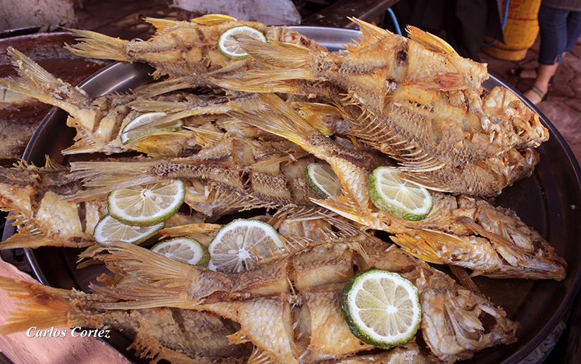 INPESCA
