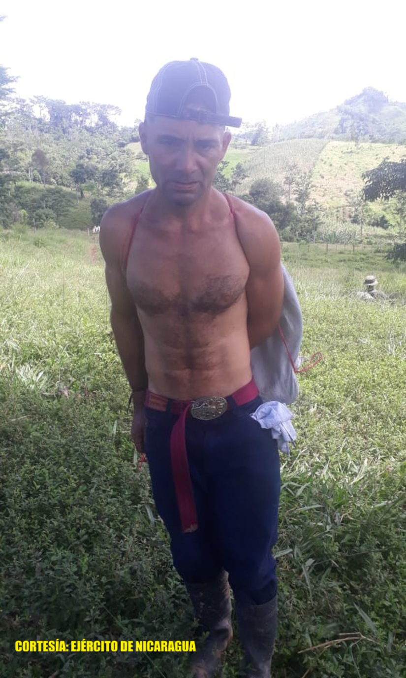 ganado