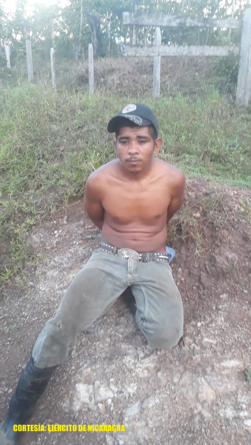 ganado