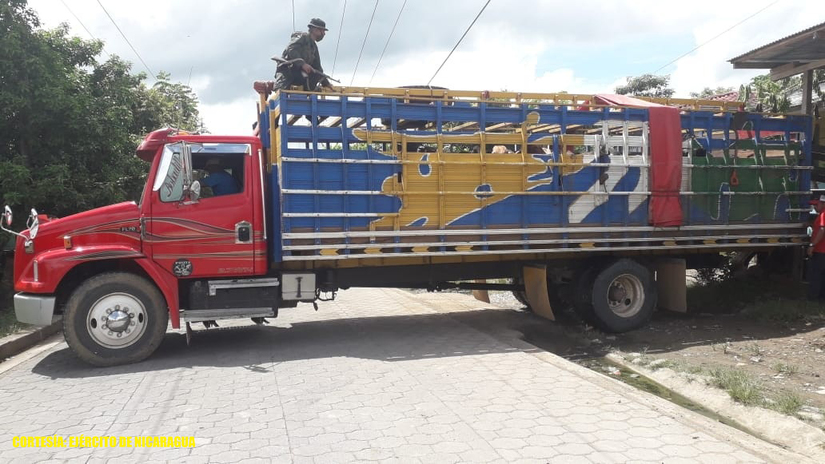 ganado