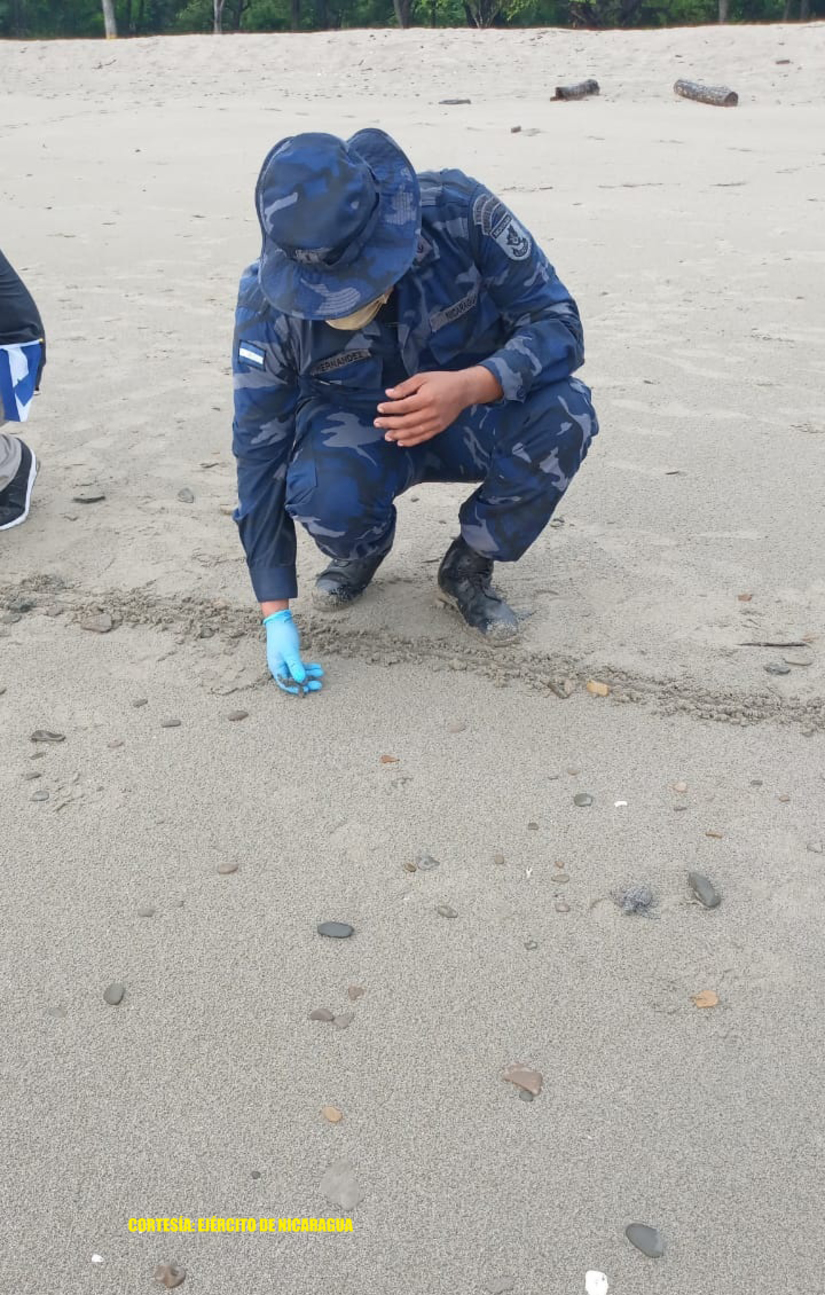 naval