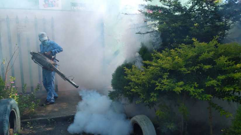 fumigacion