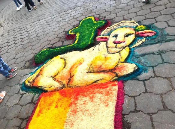 alfombras-leon