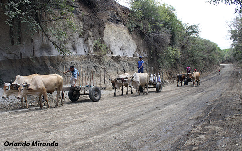 camino