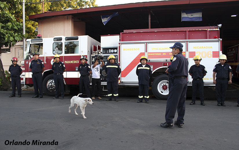 BOMBEROS