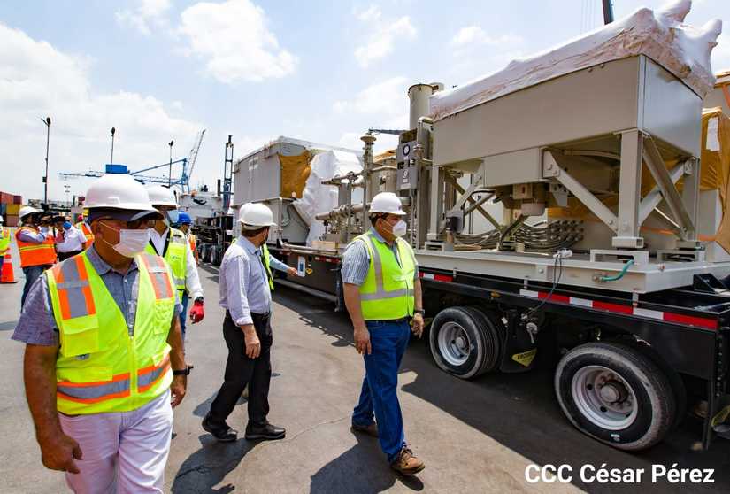 corinto-arriba-planta