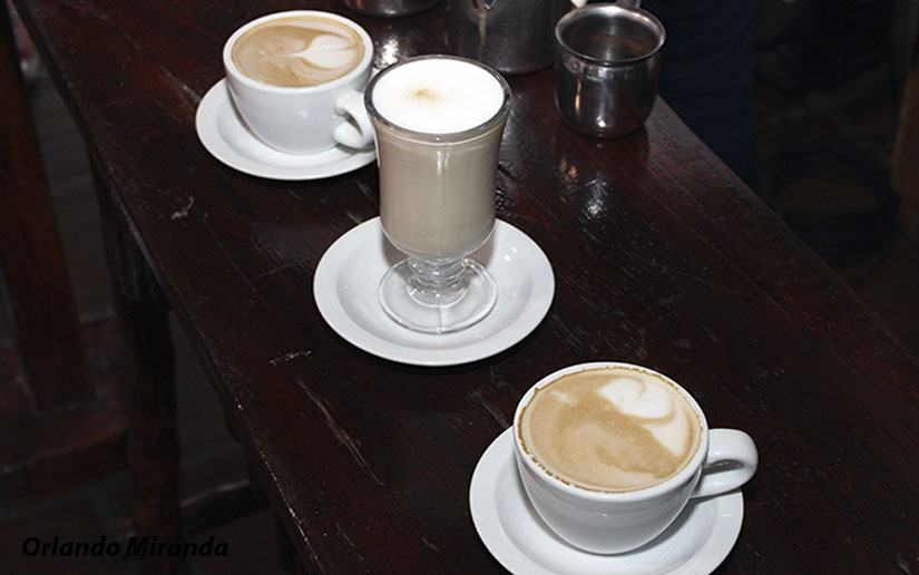 casa-cafe