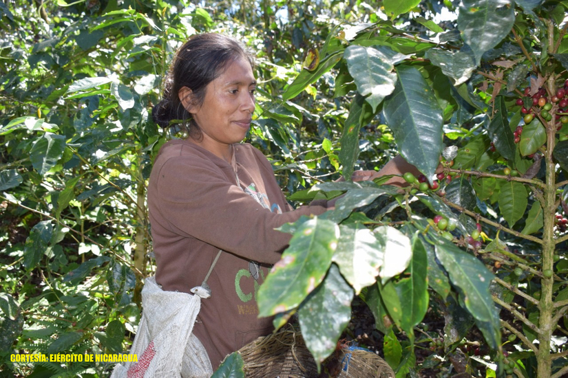 ejercito-visita-fincas