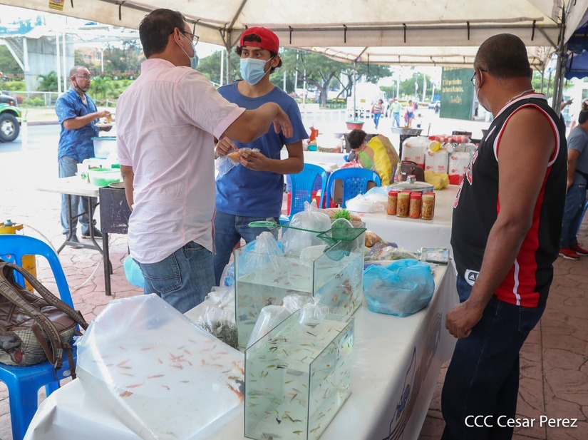 feria-mar